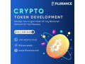 unlock-your-tokens-potential-plurances-seamless-development-solutions-small-0